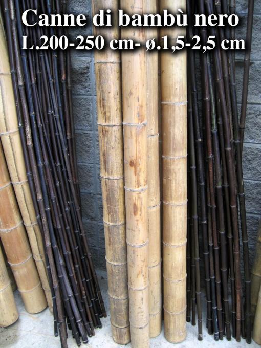 Canne Di Bambù Resistenti Per Piante | Supporti Da Giardino 60-180cm | Lotti Da 10 A 100 Pezzi | Spessore 8-12mm